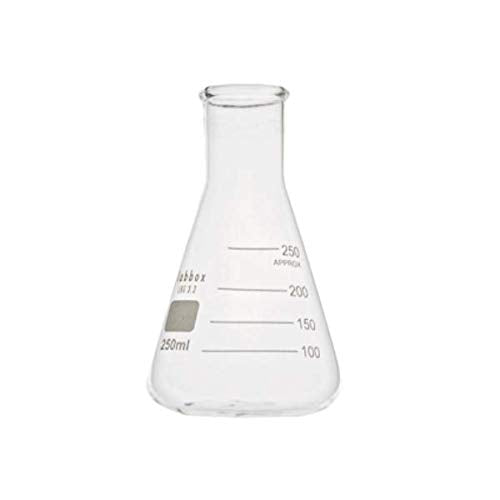 1 x RAW Customer Returns Matraz Erlenmeyer Borosilicate 3.3 250 ml  - RRP €26.4