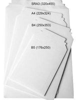 1 x RAW Customer Returns 25 white DIN A4 cardboard mailing bags made of solid cardboard 229 x 324 mm 450g straight flap self-adhesive A4 cardboard envelopes  solid cardboard bags for documents brochures photos pictures wall calendars - RRP €22.72