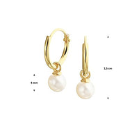 1 x RAW Customer Returns Sparkle14-585 Real gold small earrings with freshwater pearl for women and girls - 11 x 1.3 mm earrings - 4 mm pearl - 14 carat gold durable hoop earrings - RRP €95.0