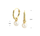 1 x RAW Customer Returns Sparkle14-585 Real gold small earrings with freshwater pearl for women and girls - 11 x 1.3 mm earrings - 4 mm pearl - 14 carat gold durable hoop earrings - RRP €95.0