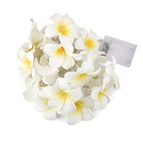 1 x RAW Customer Returns LEDMOMO 20 LED Frangipani Flower String Lights Battery Operated Warm White Light - RRP €19.09