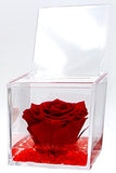 1 x RAW Customer Returns real red rose, ceremony thought gift, lasts forever, stabilized scented 8x8x8 plexiglass cube - RRP €27.67