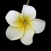 1 x RAW Customer Returns LEDMOMO 20 LED Frangipani Flower String Lights Battery Operated Warm White Light - RRP €19.09