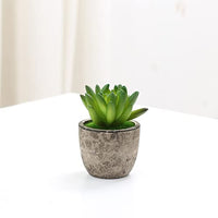 1 x RAW Customer Returns Artificial Succulent Plants, 9 Pieces Decorative Artificial Plants Plastic Mini Assorted Fake Plants Succulent Ornaments for Home Table Decoration Office Bathroom Kitchen Balcony without pot  - RRP €13.99