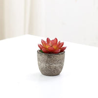 1 x RAW Customer Returns Artificial Succulent Plants, 9 Pieces Decorative Artificial Plants Plastic Mini Assorted Fake Plants Succulent Ornaments for Home Table Decoration Office Bathroom Kitchen Balcony without pot  - RRP €13.99