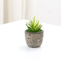 1 x RAW Customer Returns Artificial Succulent Plants, 9 Pieces Decorative Artificial Plants Plastic Mini Assorted Fake Plants Succulent Ornaments for Home Table Decoration Office Bathroom Kitchen Balcony without pot  - RRP €13.99