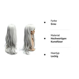 1 x RAW Customer Returns Dazone 70cm Carnival Wig Gray. Long full cosplay, curly wavy fashion costumes women s hairpiece wig for everyday life, party, Halloween, Christmas - RRP €16.13