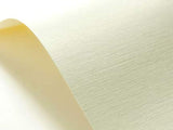 1 x RAW Customer Returns Netuno 40x cream structured paper linen-embossed DIN A5 148x 210 mm 246g ivory cardboard Chamois craft cardboard structured linen-structure embossing for business cards invitation cards certificates - RRP €9.98