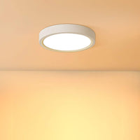 1 x Brand New 20W LED ceiling light small, bapro 17cm ceiling lamp bathroom 890LM 3000K warm white modern bathroom lamp for bathroom kitchen living room balcony hallway bedroom office - RRP €18.14