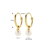 1 x RAW Customer Returns Sparkle14-585 Real gold small earrings with freshwater pearl for women and girls - 11 x 1.3 mm earrings - 4 mm pearl - 14 carat gold durable hoop earrings - RRP €95.0