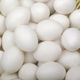 1 x RAW Customer Returns 10 solid plastic eggs dummy eggs for pigeons white - RRP €9.56