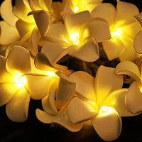 1 x RAW Customer Returns LEDMOMO 20 LED Frangipani Flower String Lights Battery Operated Warm White Light - RRP €19.09