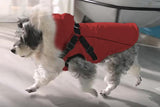 11 x Brand New Lairle Dog Coat Winter Dog Jacket Dog Vest Clothes Dog Harness Coat Small Dog Harness Puppy Vest Harness Winter Dog Coat with Harness for Small Medium Dogs - RRP €295.13