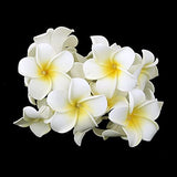 1 x RAW Customer Returns LEDMOMO 20 LED Frangipani Flower String Lights Battery Operated Warm White Light - RRP €19.09