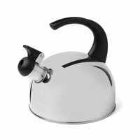 1 x RAW Customer Returns Kettle Camping Induction Gas Stainless Steel Silver Teakesel Whistling Kettle 2l Gas Stove for Wood Stove Small Kettle - RRP €14.11