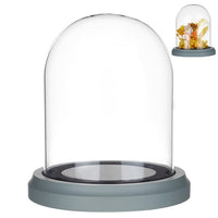 1 x RAW Customer Returns NBEADS 12.5x14 cm glass dome lid, decorative dome cover cloche bell pot terrarium with wooden base for Christmas decoration - RRP €20.4