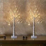 1 x RAW Customer Returns EAMBRITE Set of 2 Light Tree Light Branches for Indoor Use 24 Warm White LEDs Tree Birch Decorative Branches Battery Operated Christmas Decoration for Home Party Birthday Wedding Interior Decoration 60cm 2ft  - RRP €25.2