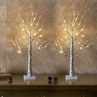 1 x RAW Customer Returns EAMBRITE Set of 2 Light Tree Light Branches for Indoor Use 24 Warm White LEDs Tree Birch Decorative Branches Battery Operated Christmas Decoration for Home Party Birthday Wedding Interior Decoration 60cm 2ft  - RRP €24.99