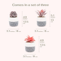 14 x Brand New VIVERIE Artificial Succulents in Plant Pots for Boho Home Decor, Set of 3 - Artificial Plants with Removable Basket for Stationery and Makeup Holder - Boho Room Decor - RRP €352.8