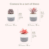 2 x Brand New VIVERIE Artificial Succulents in Plant Pots for Boho Home Decor, Set of 3 - Artificial Plants with Removable Basket for Stationery and Makeup Holder - Boho Room Decor - RRP €40.8