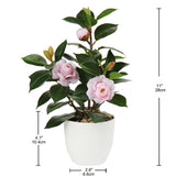 1 x RAW Customer Returns Briful Artificial Houseplant Camellia Artificial Plant Camellia Japonica in Plastic Pot Decorative Silk Flowers Camellia Artificial Flowers for Home Hotel Decoration - RRP €19.15