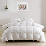 1 x RAW Customer Returns DWR down duvet 220x240cm all year round duvet with goose down and feathers, medium warm duvet 220x240cm, ultra-soft duvet, quilted feather duvet with RDS-certified, white, 1320gr.  - RRP €162.06