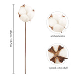 2 x RAW Customer Returns Larber 10 Pieces Cotton Stems Decoration Artificial Farmhouse Cotton Flowers Rustic Style Floral Picks Rustic Cotton Vase Filler for Flower Decoration Stem,42cm - RRP €25.96