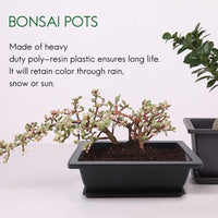 1 x RAW Customer Returns Roundsky 6-Piece Bonsai Pots - Classic Deep Wet Tray with Built-in Net for Plants, Flowers, Square Plastic Pots - RRP €20.4