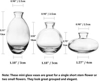 1 x RAW Customer Returns Small vases for table decoration from Hewory, 12 pieces vase glass mini vases set modern glass vase clear small flower vases for wedding decoration table living room decoration - RRP €45.7