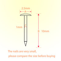 1 x RAW Customer Returns huruirui 1 10mm Small Nails Iron Nail Photo Nails for Photo Hanging Woodworking DIY Furniture Decorative Nails Small Silver 500pcs - RRP €7.72