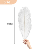 1 x RAW Customer Returns Nuptio Pack of 10 Large Natural Ostrich Feathers 30-35cm for Home Wedding Party Decoration - RRP €16.62