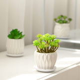 1 x RAW Customer Returns Set of 6 White Simple Porcelain Planters Small Flower Pots Succulent Cactus with Drainage and Saucer for Home Office Decoration Gift White Stripes  - RRP €22.95