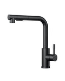 1 x RAW Customer Returns FORIOUS Removable Black Kitchen Faucet, Kitchen Sink Faucet with Shower with 2 360 Rotating Spray Modes, Flexible Single-Handle Kitchen Torneira, Hot and Cold Water. - RRP €50.89