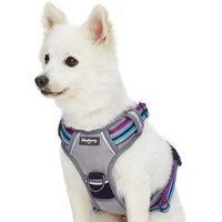 1 x Brand New Blueberry Pet Dog Collar Multicolored Geometric Squares Polyester Fabric Strap and Soft Genuine Leather, Small Size S , Neck Circumference 30cm-38cm, Adjustable Collars for Dogs - RRP €16.8