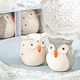 2 x RAW Customer Returns Salt and pepper set in the shape of cute owls with transparent PVC box - RRP €23.6