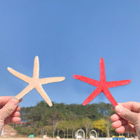 2 x Brand New Starfish, starfish decoration, mini starfish, finger starfish, resin finger starfish, colored finger starfish, aquarium starfish, for wedding, theme party, home decoration, beach, aquarium, 15 pieces - RRP €15.6