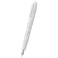 1 x RAW Customer Returns erofa Hongdian N23 White Rabbit Fountain Pen, Iridium Extra Fine Nib Silver Trim, New Year Lucky Rabbit Carving Design, Smooth Writing Pen with Converter and Metal Pen Box Set - RRP €34.78