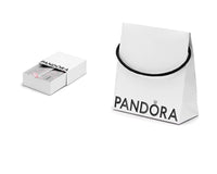 1 x RAW Customer Returns PANDORA Eco-friendly packaging set bag and bracelet box 1  - RRP €11.0