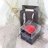 1 x RAW Customer Returns Handmade preserved rose jewelry gift box with sliver necklace for her, gifts for women for Valentine s Day, Mother s Day, anniversary, birthday gift for mother, sister, wife - RRP €26.99