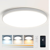 1 x RAW Customer Returns CANMEIJIA LED Ceiling Light Modern Dimmable Bedroom Ceiling Light, Chandelier with Remote Control, Bathroom Lamp, 24W, 3000-6500K, IP44 - RRP €26.99