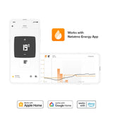 1 x RAW Customer Returns Netatmo Connected and intelligent thermostat for single boilers, NTH01-FR-EC - RRP €190.18