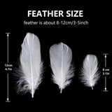 1 x RAW Customer Returns Totofy 600 Goose Feathers, Goose Feathers, White Feather, for Home Decoration, Costumes Hats, Weddings and DIY Projects. 6 - RRP €11.62