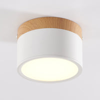 1 x RAW Customer Returns Schindora LED Ceiling Luminaire, Surface Spotlight for Wood Decoration, Mini Ceiling Luminaire, Round, White, Warm White 3000K, 12W. - RRP €24.76