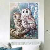 23 x Brand New Nicole Knupfer DIY 5D Diamond Painting Diamond Owl Embroidery Rhinestone Pasted Painting Cross Stitch DIY Cross Stitch Home Decor Decoration 8.30 x 40 cm  - RRP €469.2