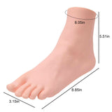 1 x RAW Customer Returns Lifelike Manikin Feet PVC Foot Life Size Female Mannequin Foot Model for Painting Teaching Art Drawing Sketching Jewelry Display Left Foot 22.5cm - RRP €14.4