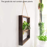 5 x Brand New Erpmlyo Wall Mounted Hanging Plants Test Tube Flower Bud Glass Terrarium Wooden Frame for Home Garden Wedding Decoration - RRP €102.0