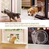 1 x RAW Customer Returns Glass Cat Flap Swing Door for Cats and Dogs Large Glass Cat Flap with 4 Locking Options Transparent Round  - RRP €41.59