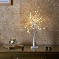 1 x RAW Customer Returns EAMBRITE LED light tree 60 cm light branches 24 LEDs light branches inside snow tree battery operated interior decoration warm white for Christmas, Easter, wedding, birthday - RRP €18.54