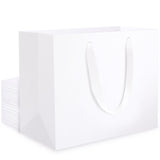 1 x RAW Customer Returns EUSOAR Gift Bags White with Handle - 250gsm Thickened Paper Bags White Small - Pack of 20 S 22x10x18cm Birthday Wedding Paper Carrier Bags - Small Paper Gift Bags Gift Bags White - RRP €27.99