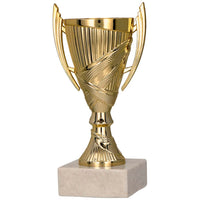 1 x RAW Customer Returns Larius Winner Cup - Football Honor Trophy Gift with Desired Text without Desired Text, Gold  - RRP €11.9